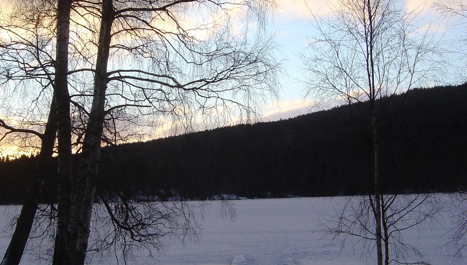 Sognsvann om vinteren