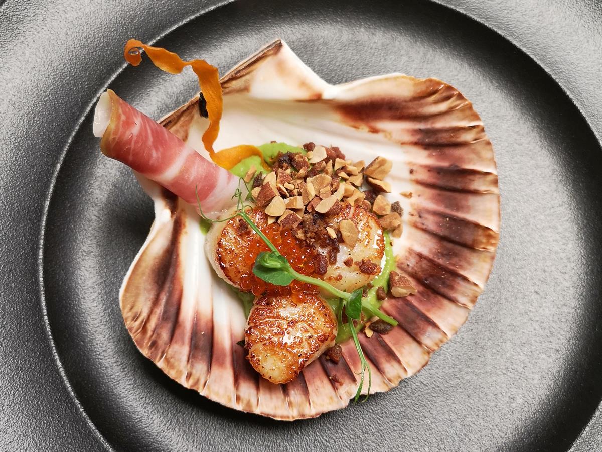 Scallops