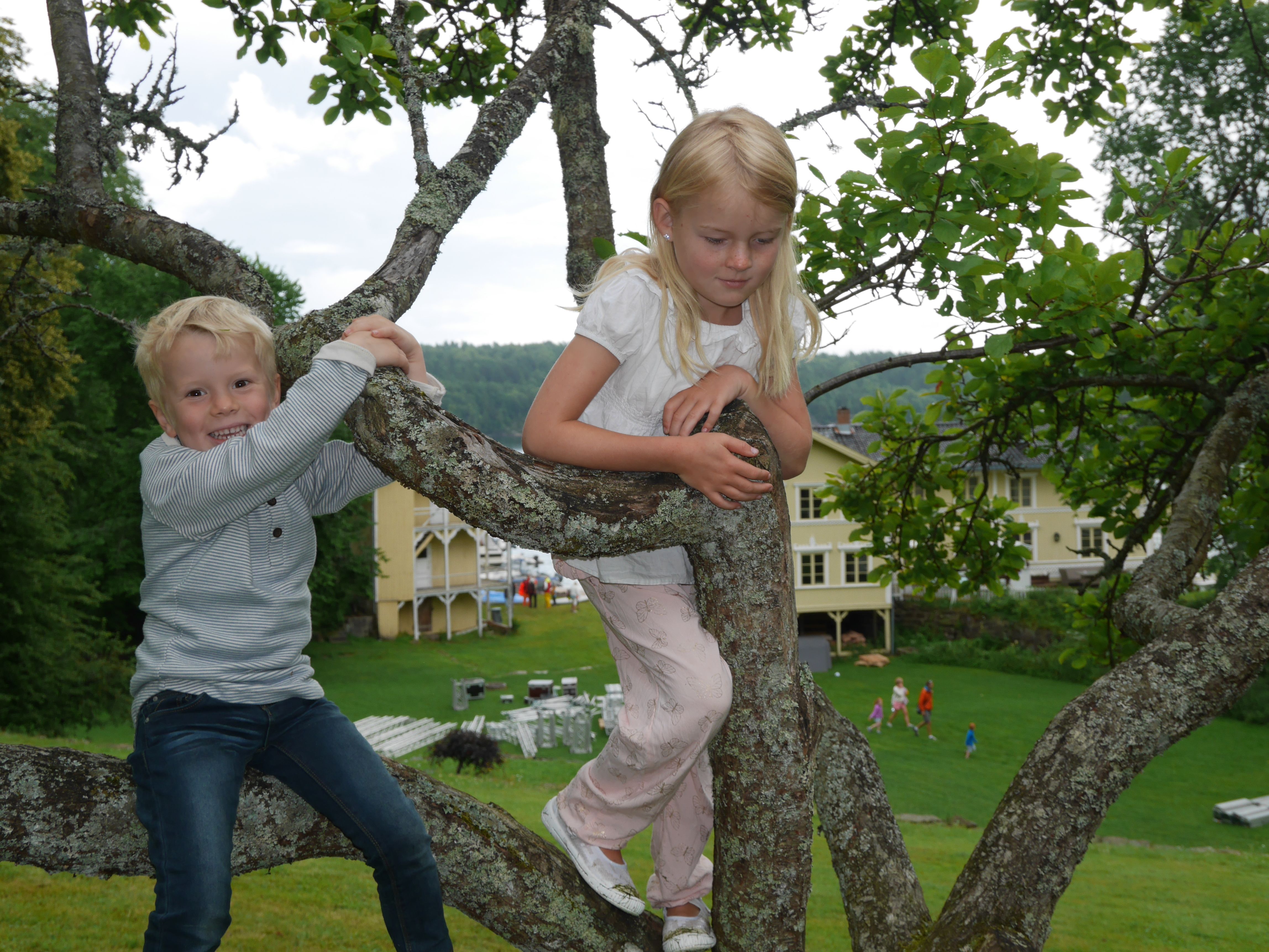 barn klatrer i tre-Furøya-Tvedestrand