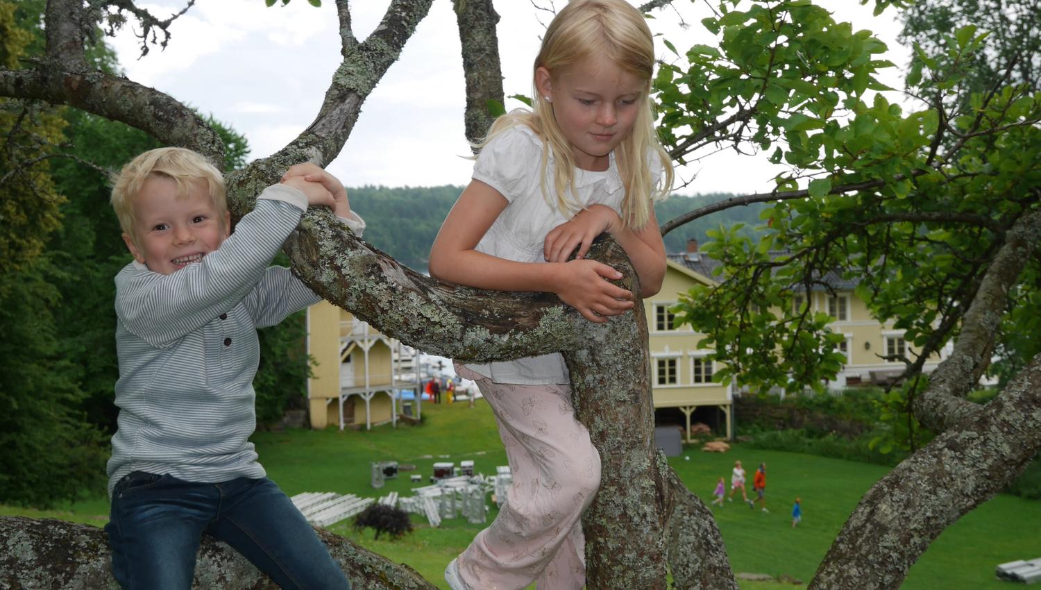 barn klatrer i tre-Furøya-Tvedestrand