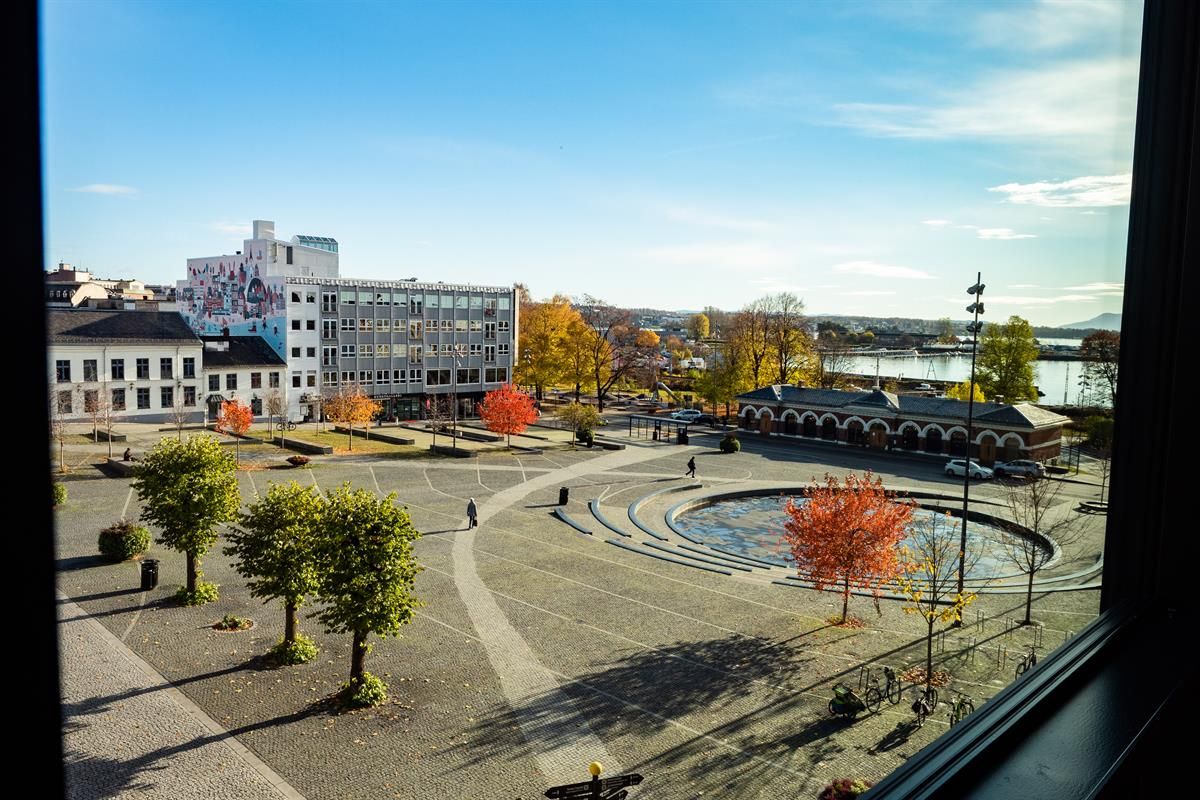 Hamar kulturhus utsikt