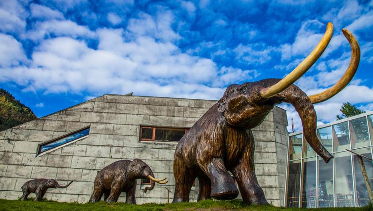 Norsk Bremuseum, Fjærland