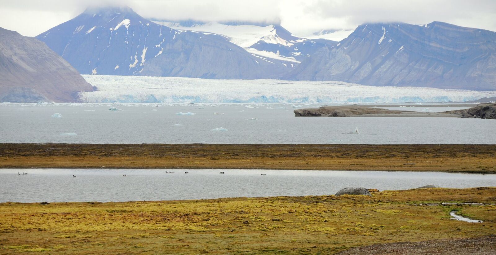 A tundra landscape in the foreground with a fjord, a glacier and a range of mountains in the background