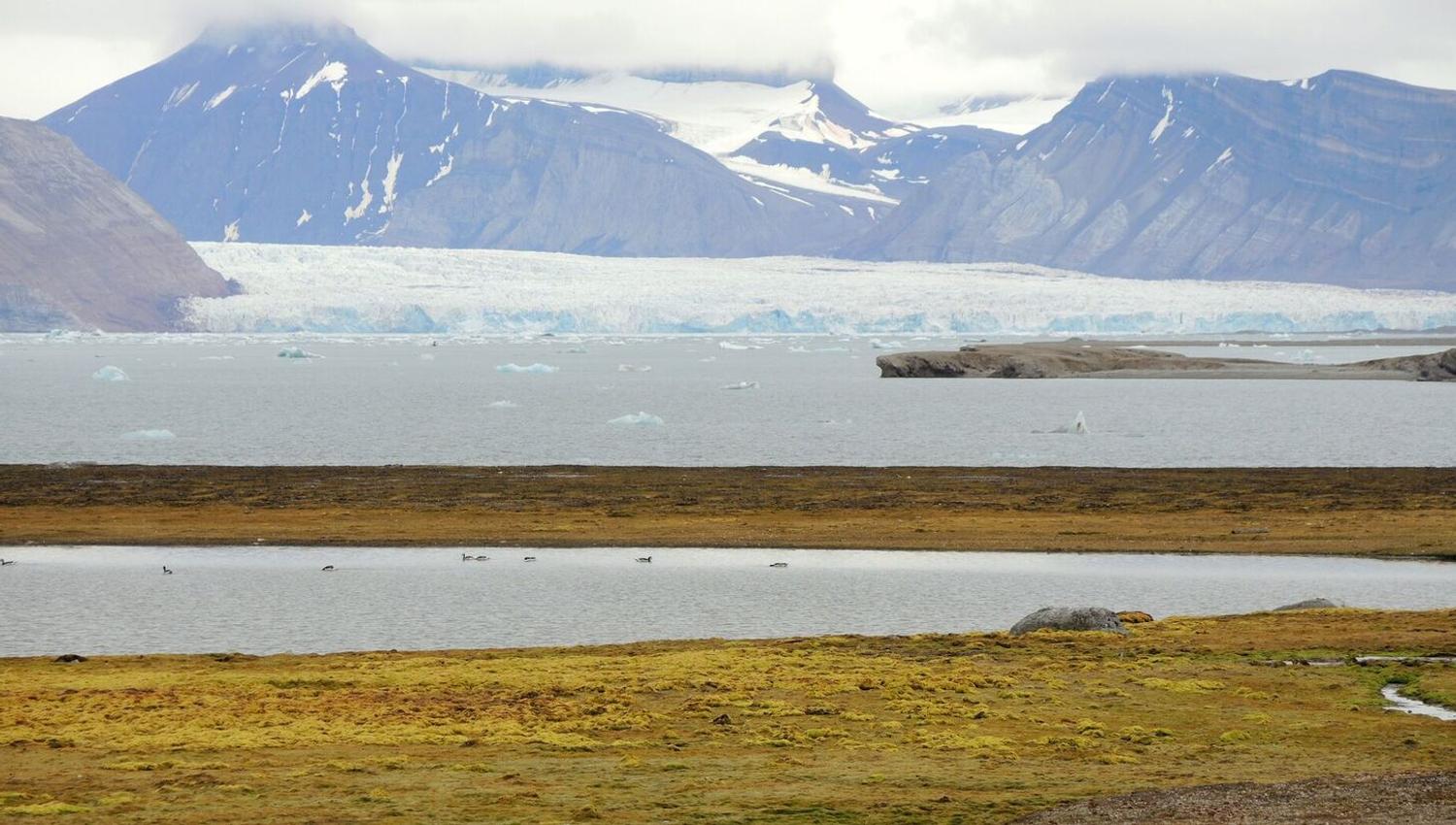 A tundra landscape in the foreground with a fjord, a glacier and a range of mountains in the background