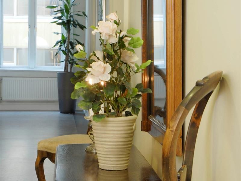 Detaljbilde av potteplante på et bord mellom to stoler.