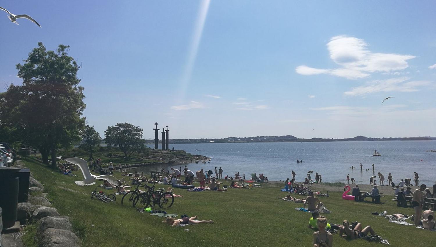 Møllebukta og Hafrsfjord