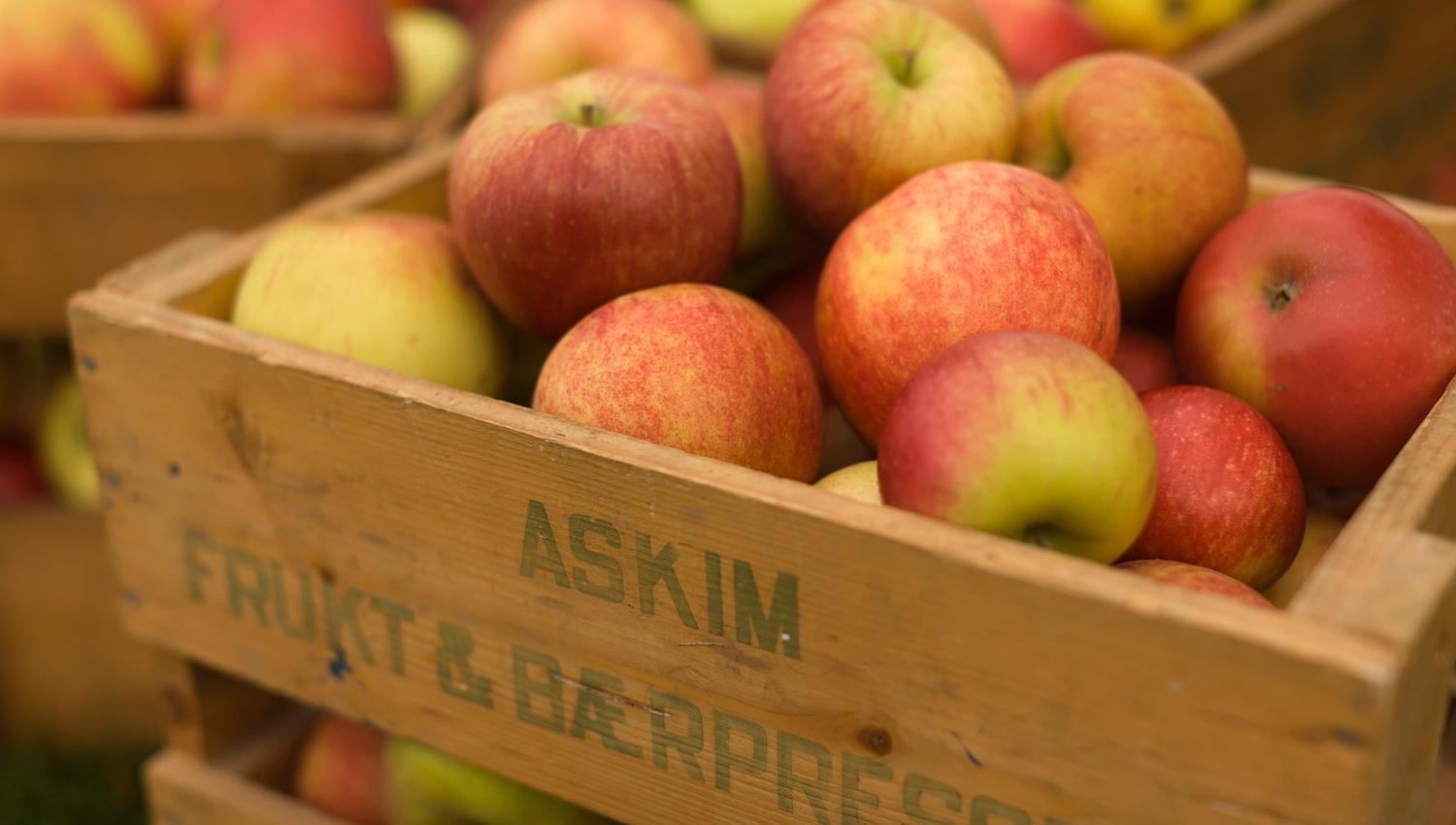 Wooden crates filled with red and yellow apples are stacked. The crate is labeled “Askim Fruit and Berry Press.” The apples look fresh and juicy, and