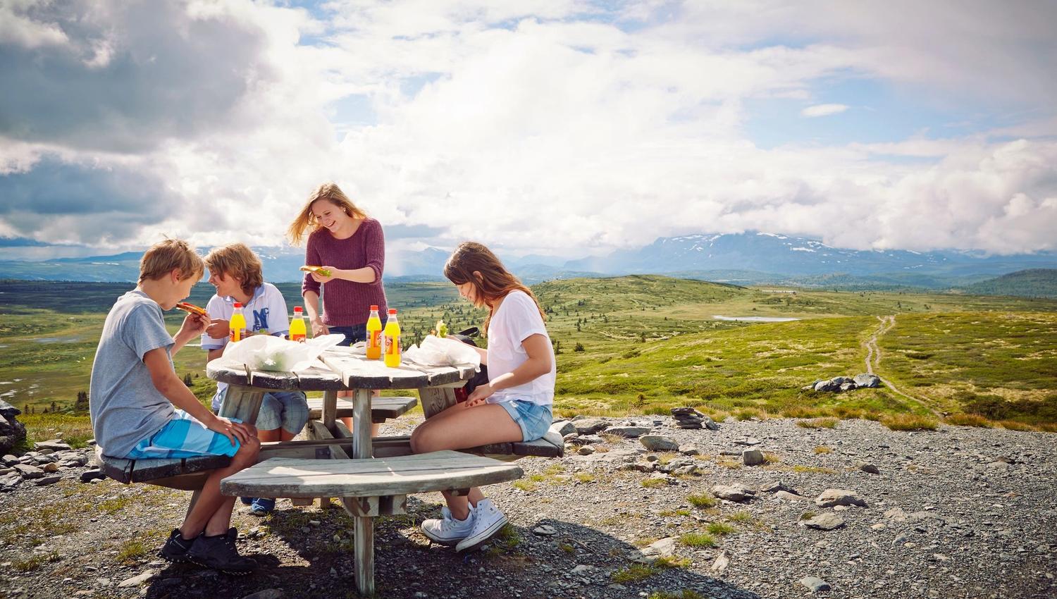 Storefjelltoppen, Golsfjellet, Gol