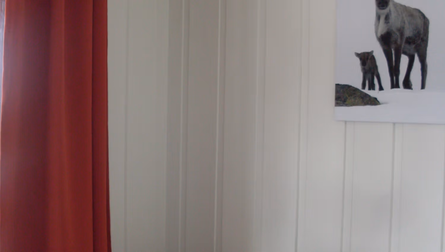 Rom inne med reinsdyr