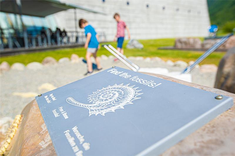 Norwegian Glacier Museum