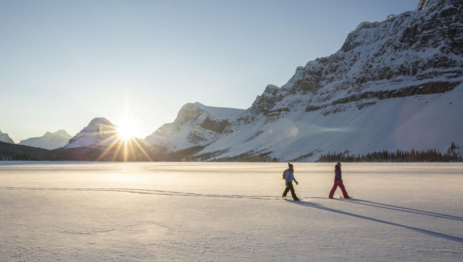 Two persons snowshoeing in a sunny and snowy landscape