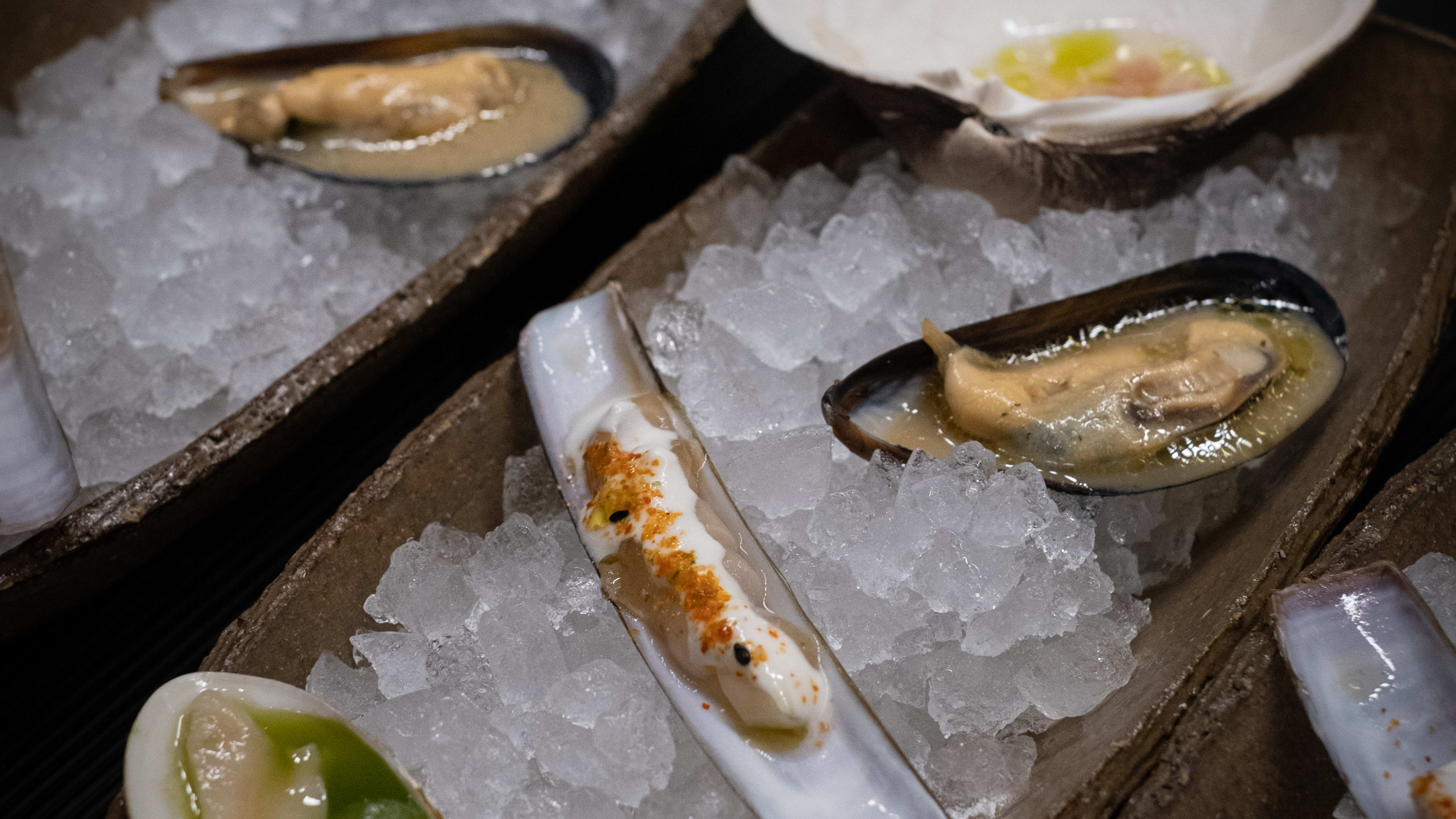 Shellfish delish