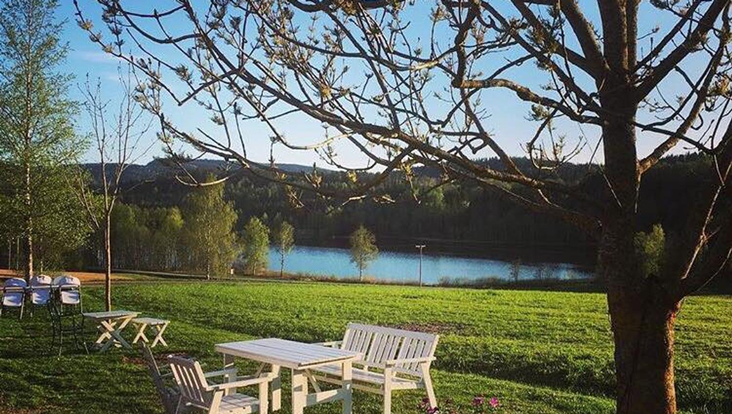 Utsikt ned til Bergsvannet fra gården.