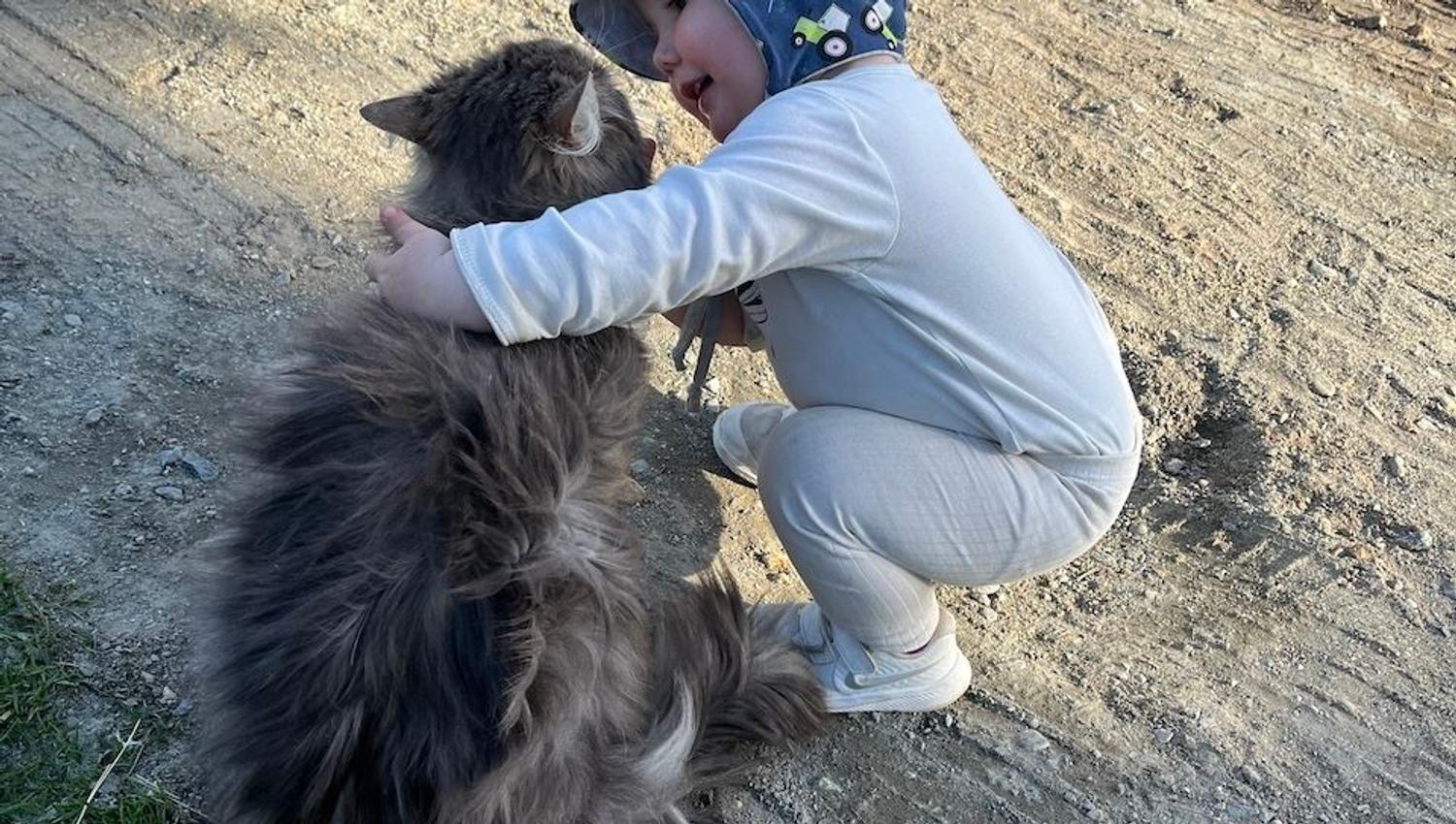 A small child in a patterned hat squats on a dirt path while hugging a large long-haired cat in sunlight..