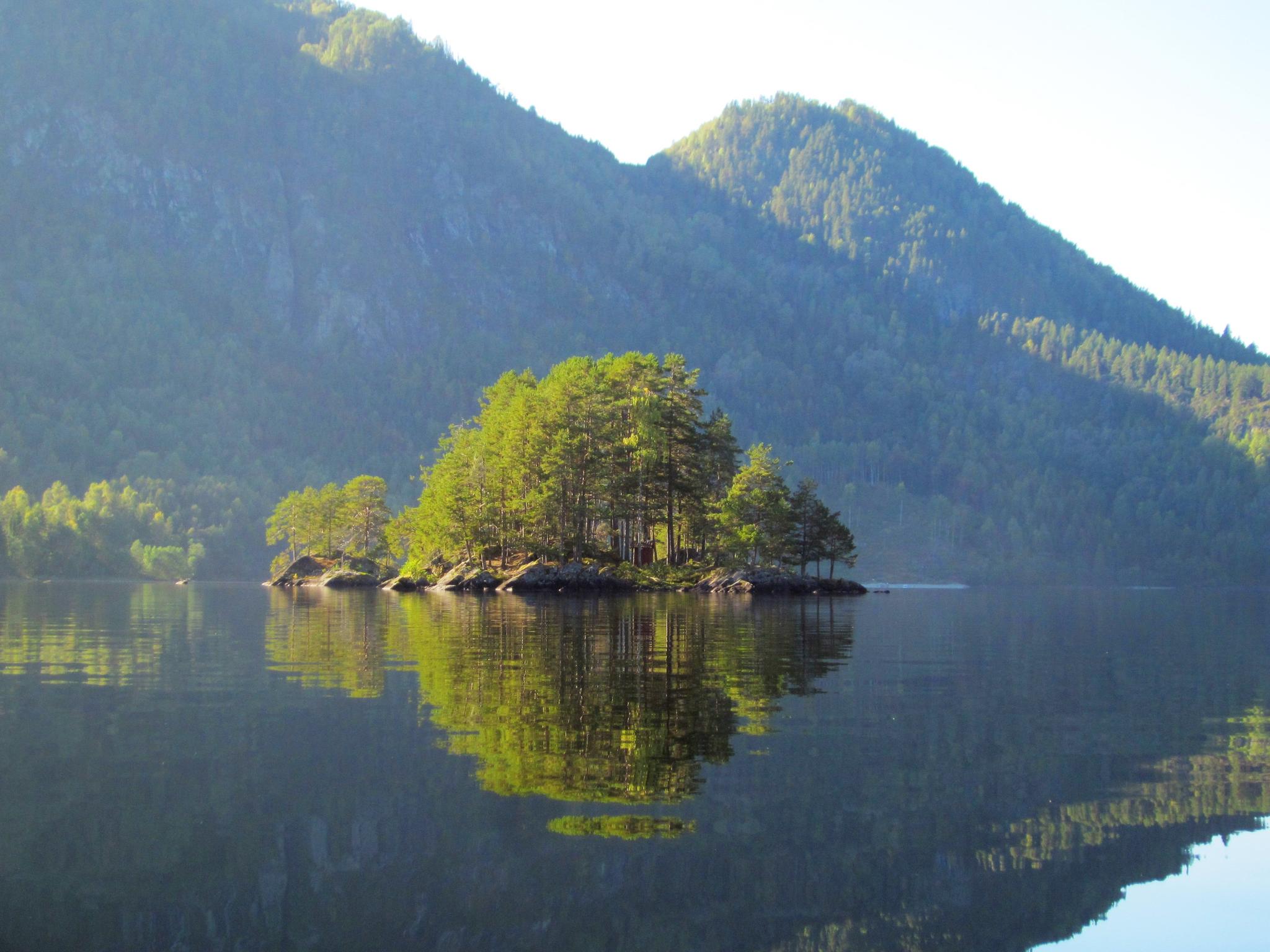 Lauvikøy
