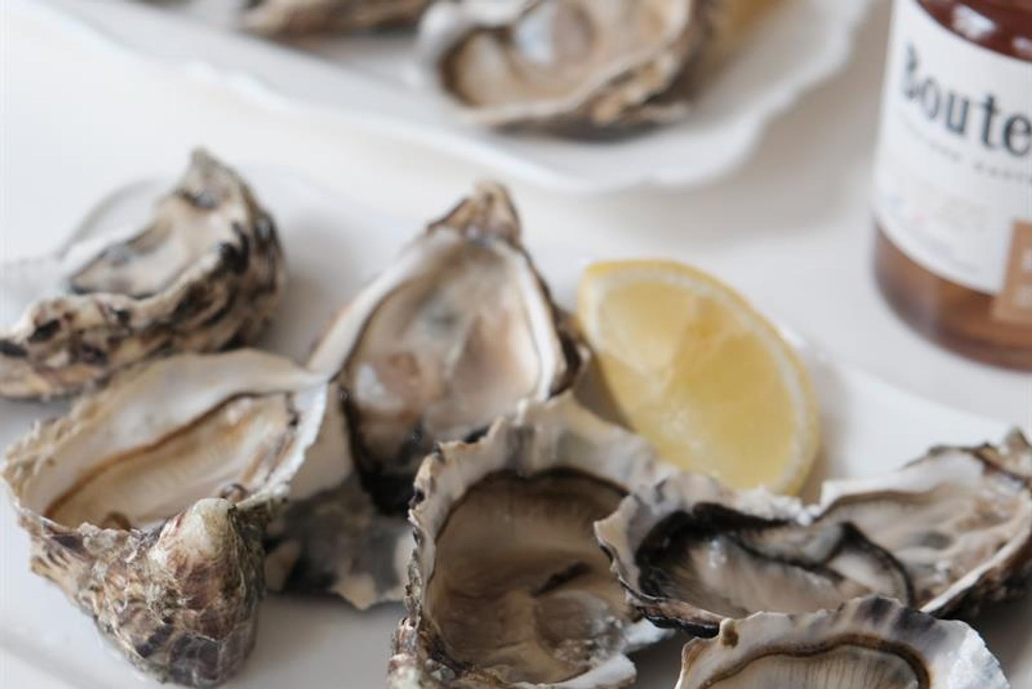 Detail photo of oysters.