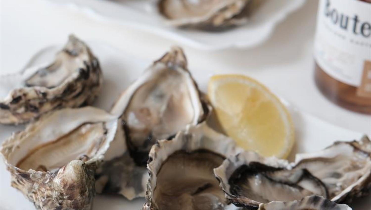 Detail photo of oysters.