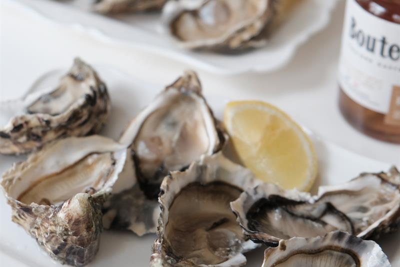 Detail photo of oysters.