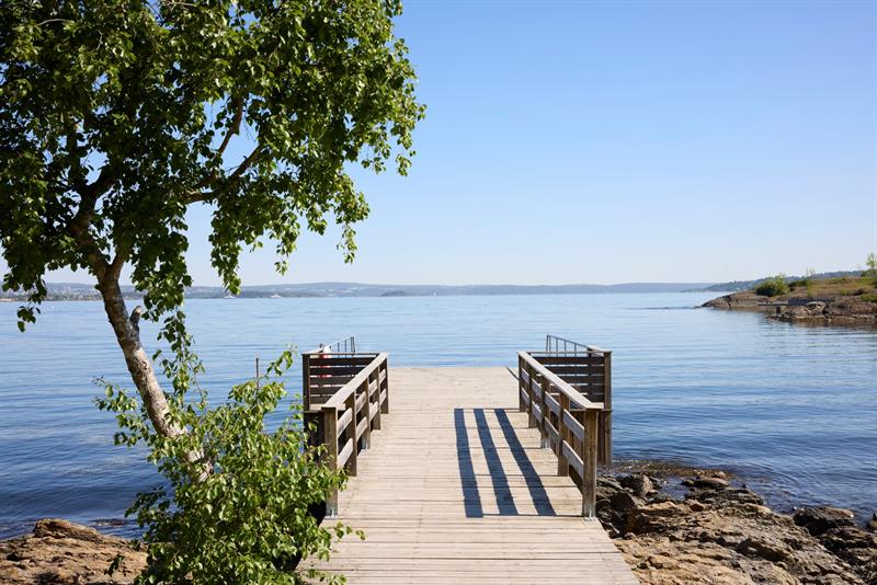 Trebrygge som strekker seg ut i rolig vann med utsikt over fjorden på en solrik dag.