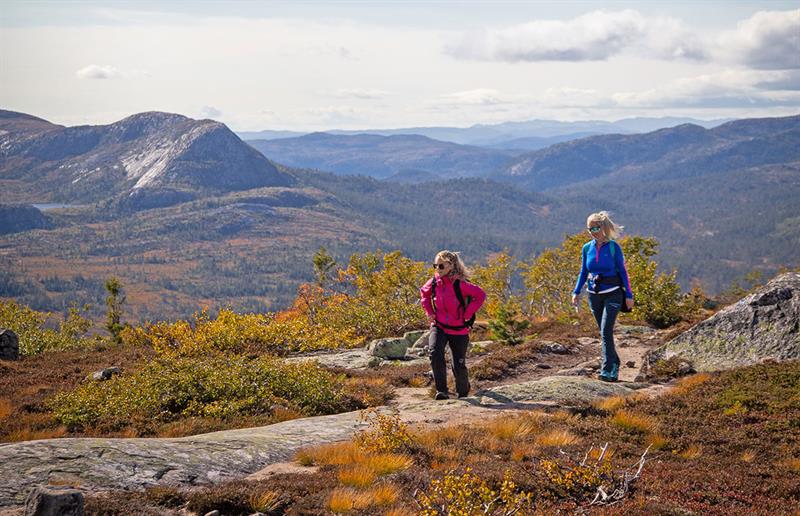 på tur til Hægefjell