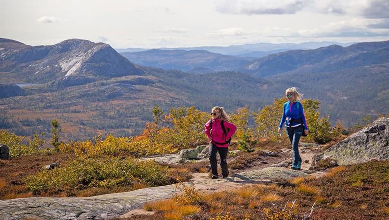 på tur til Hægefjell