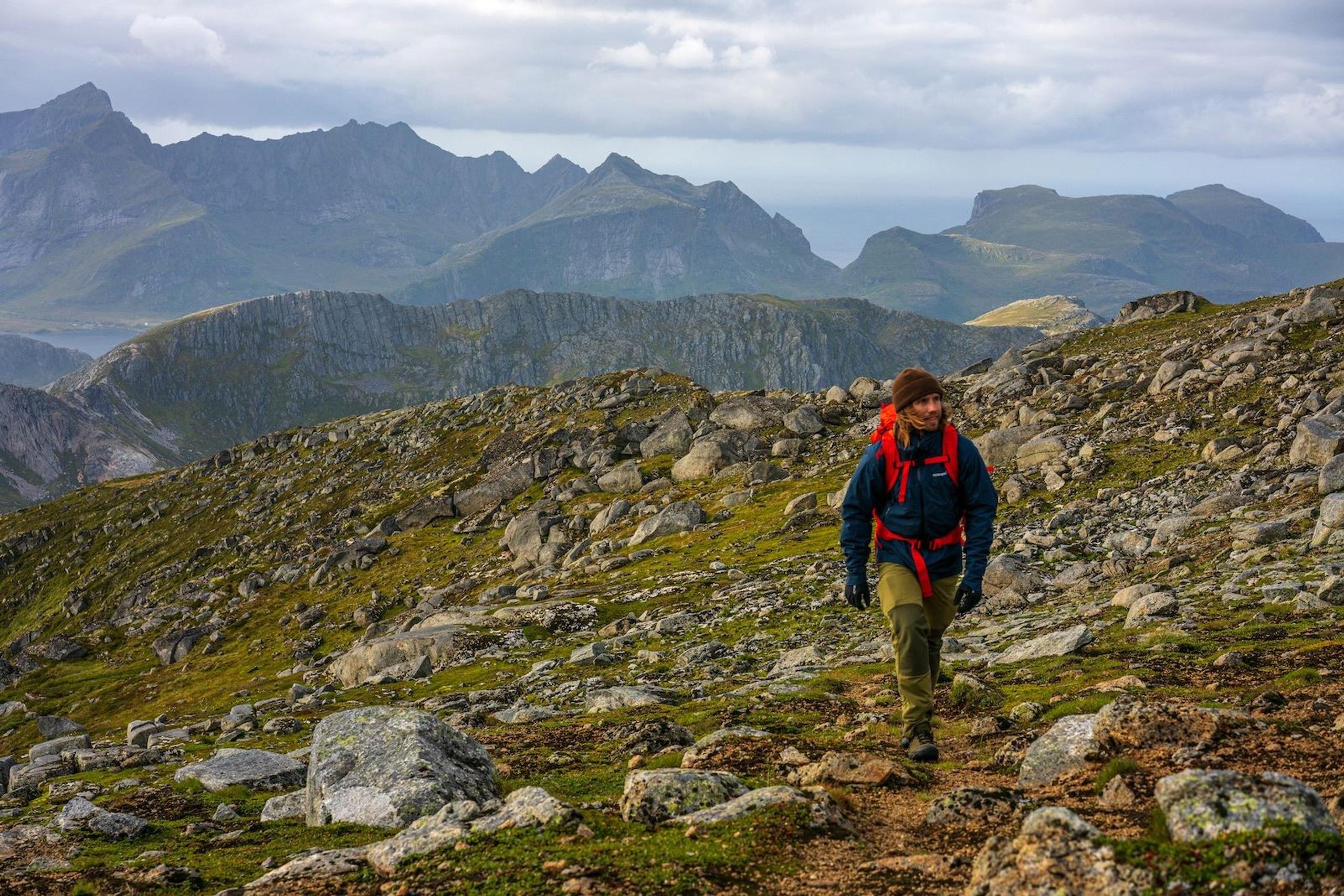 Lofoten Birding