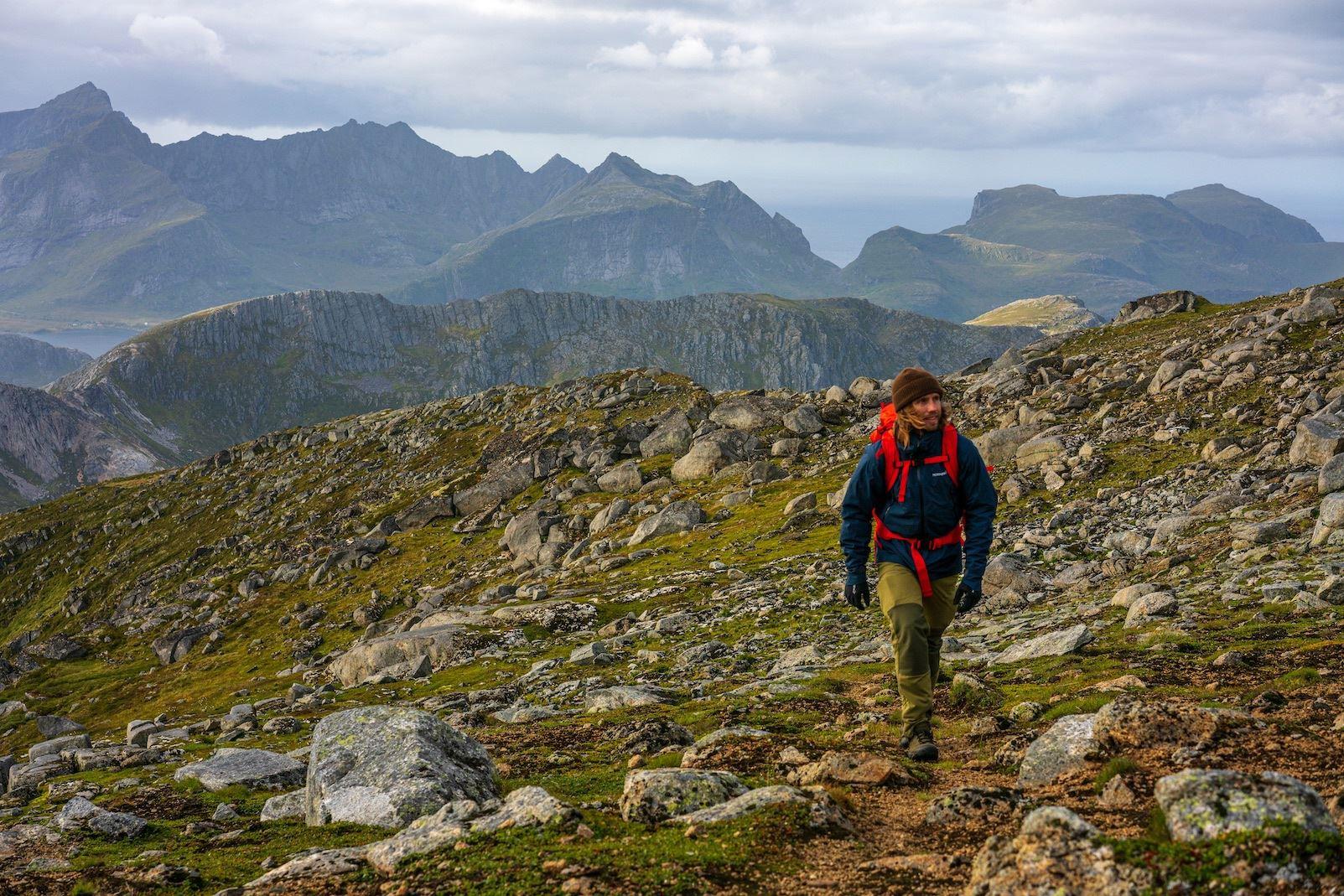 Lofoten Birding