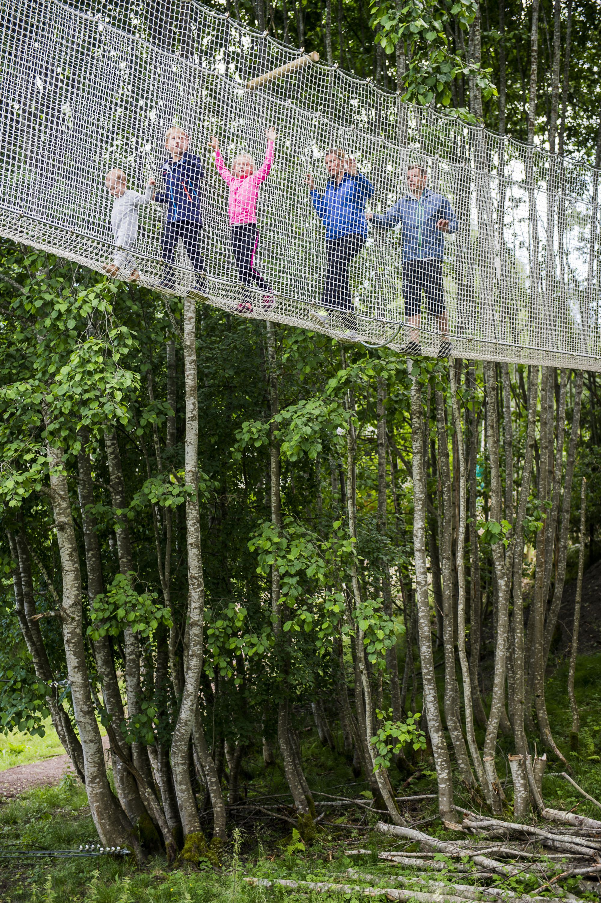 Five people climbing in netting