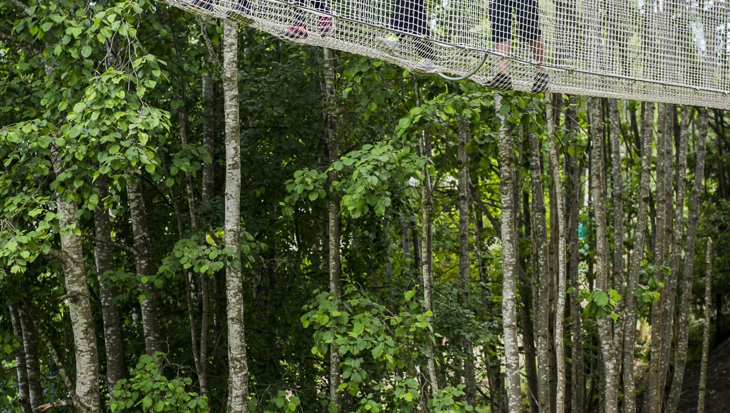 Five people climbing in netting