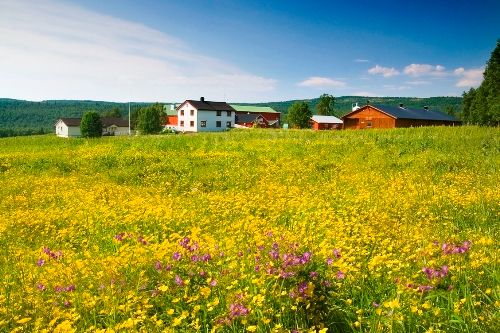 Galåvolden Gård foto