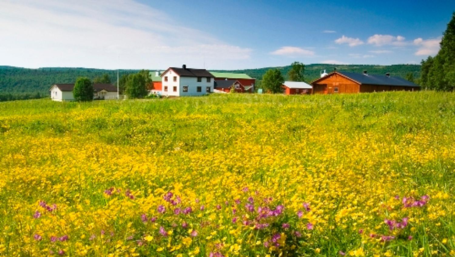 Galåvolden Gård foto