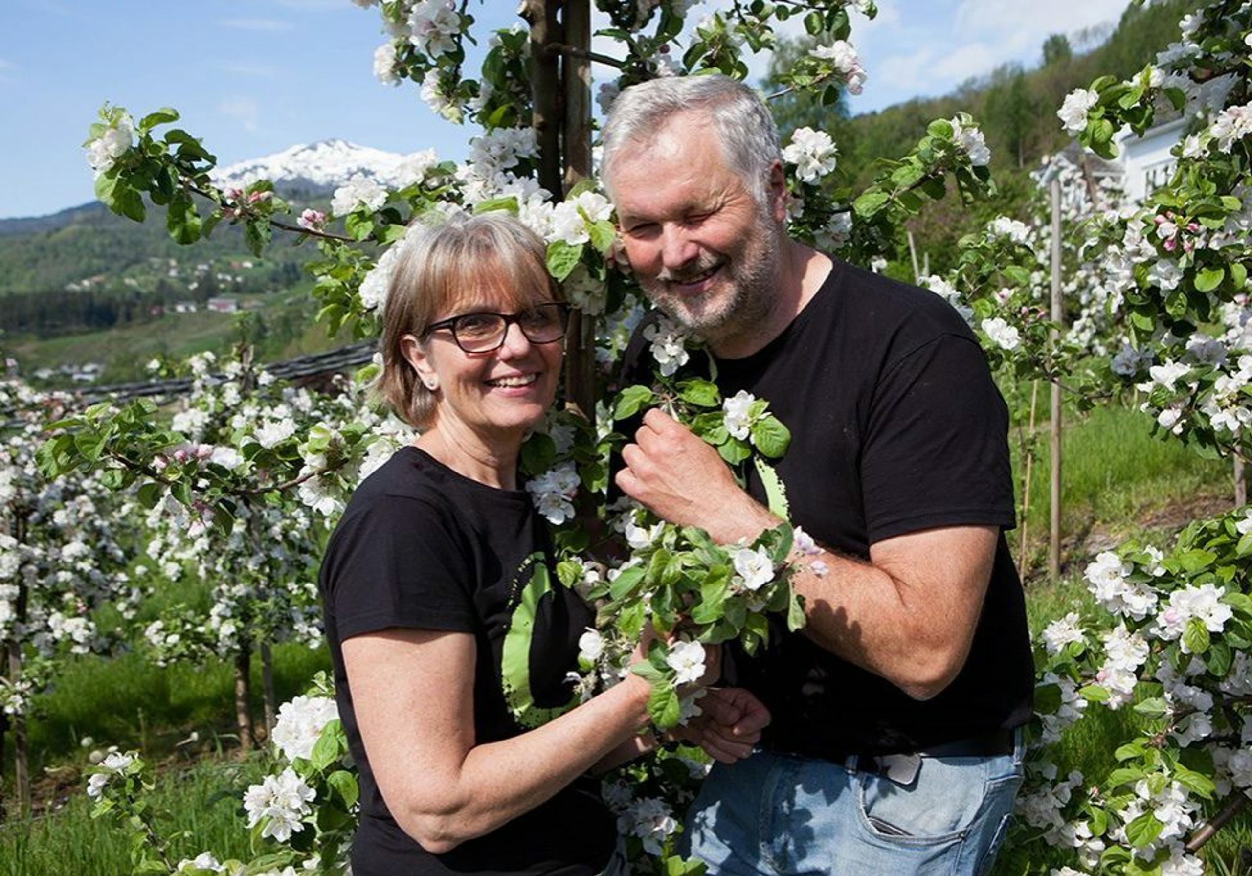 Eplebønder frå Ulvik Frukt & Cideri nyt våren i Hardanger sin vakre frukthage.
