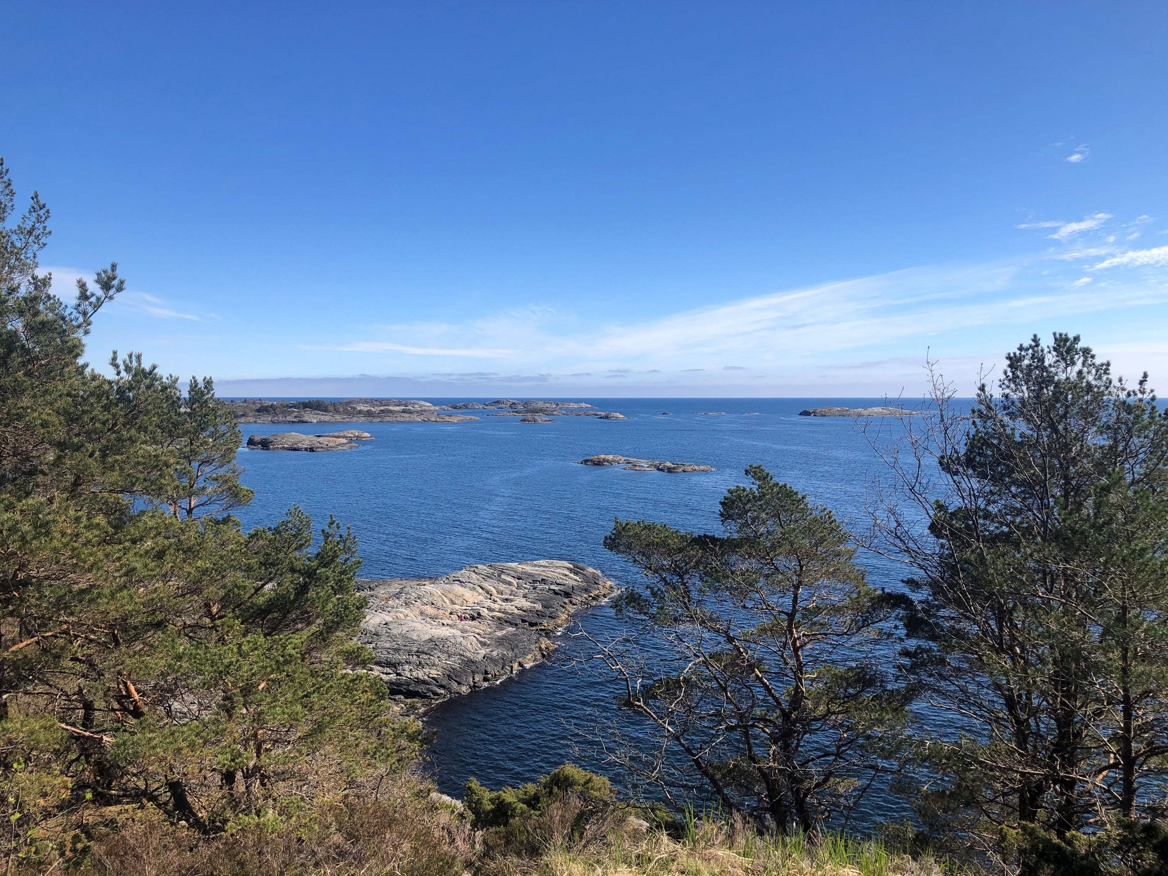 Østerhusskogen 1