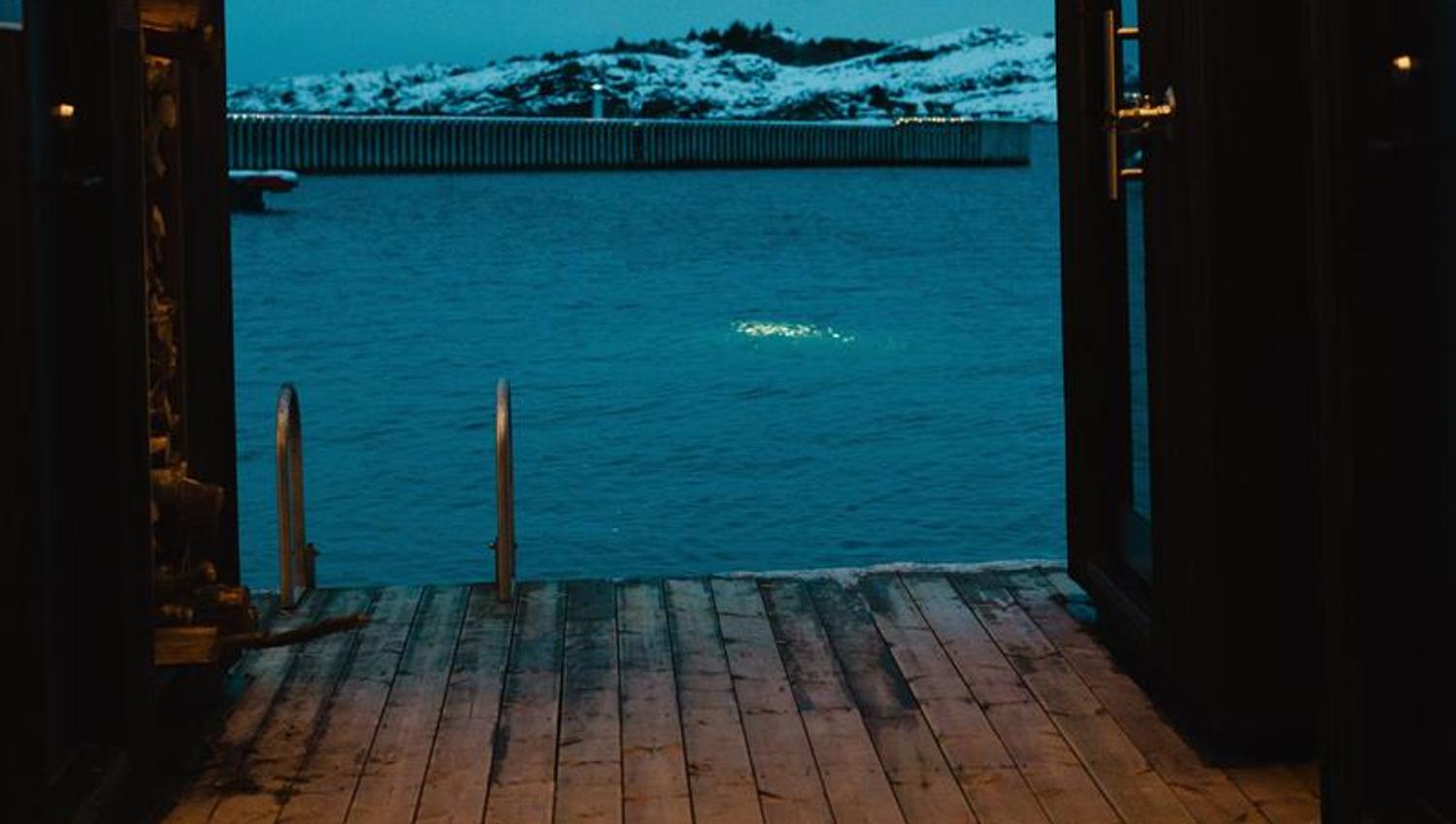 Havblikk Fjordsauna