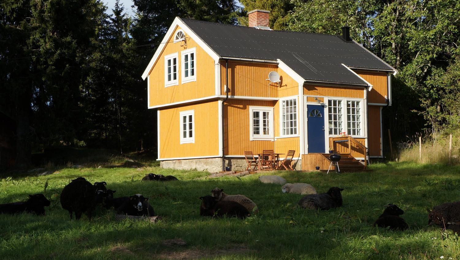 Huset