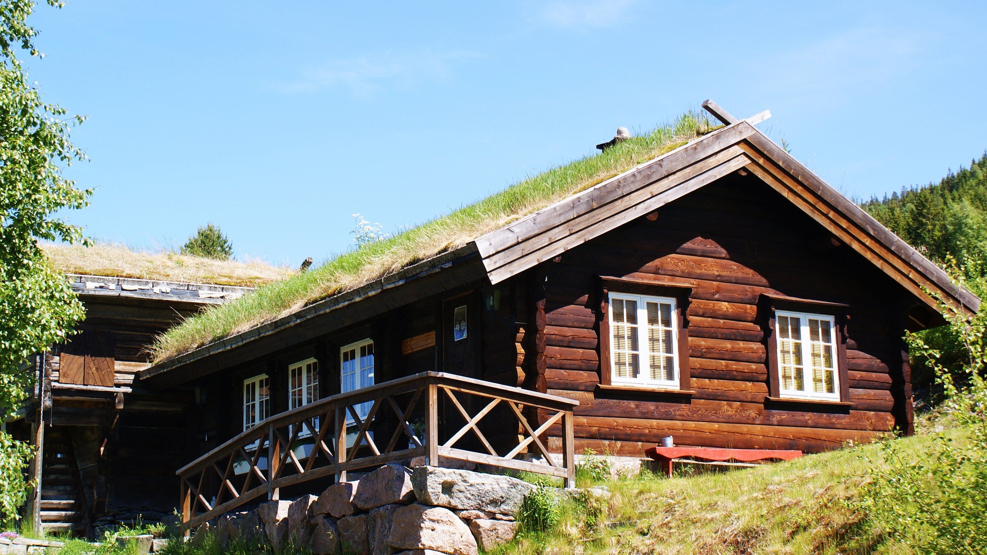 Telemarkssylv