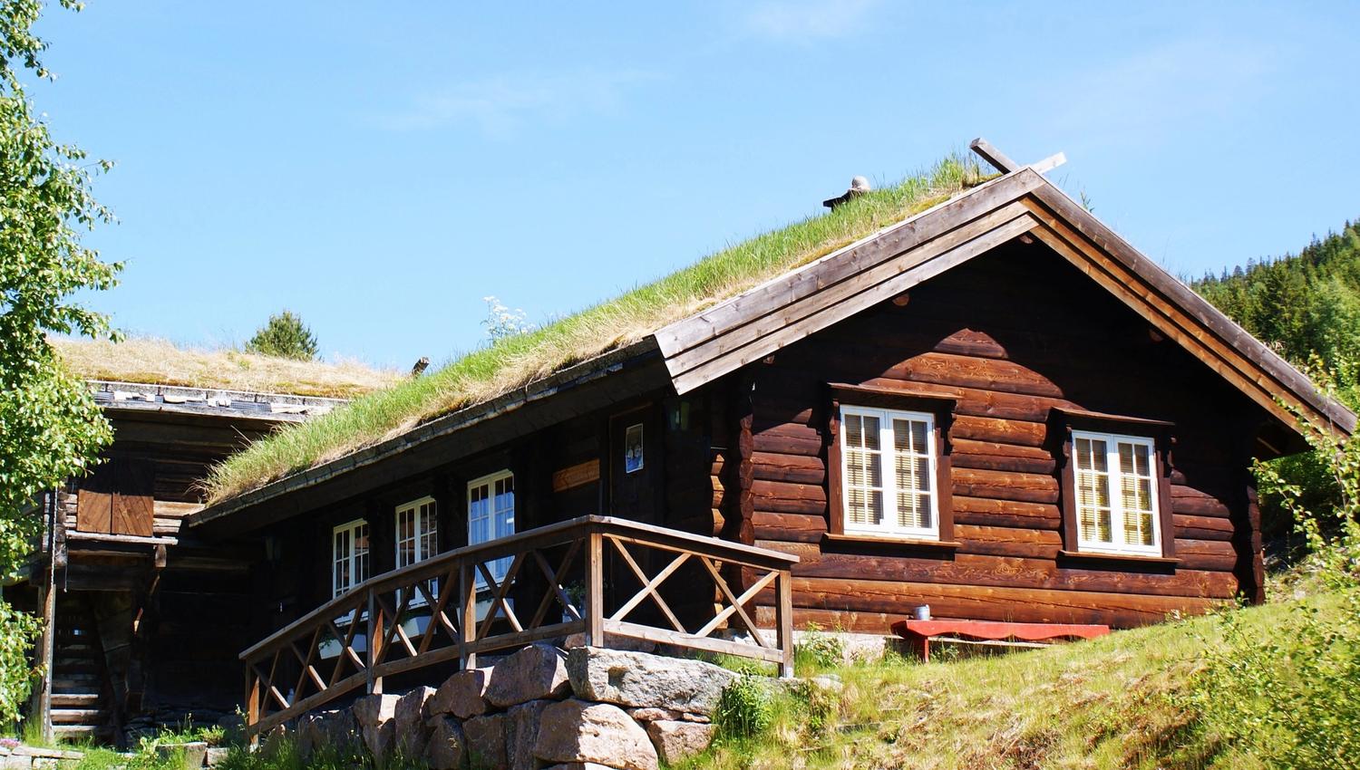 Telemarkssylv