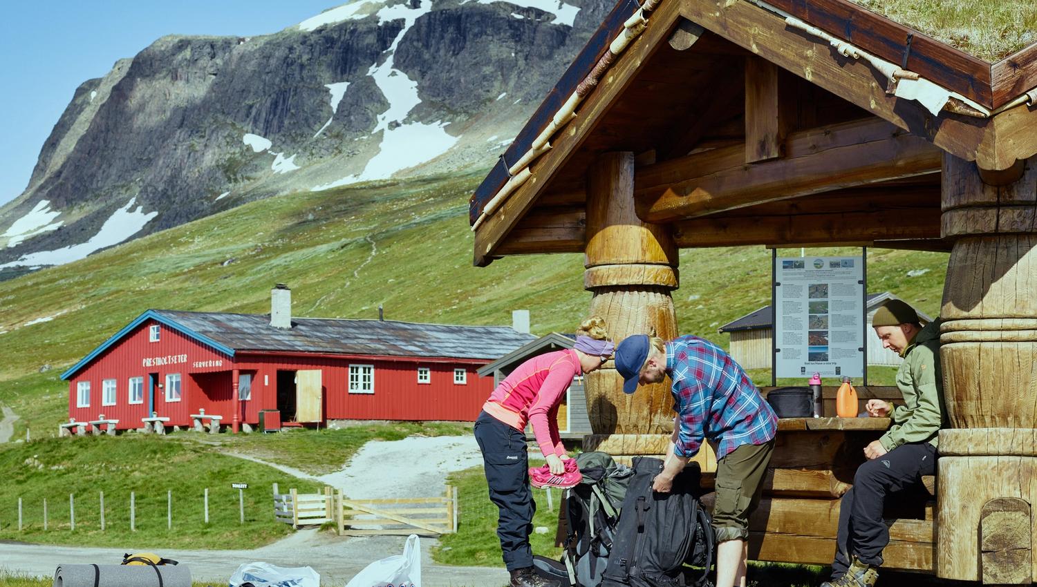Summer, Prestholtseter, Hallingskarvet