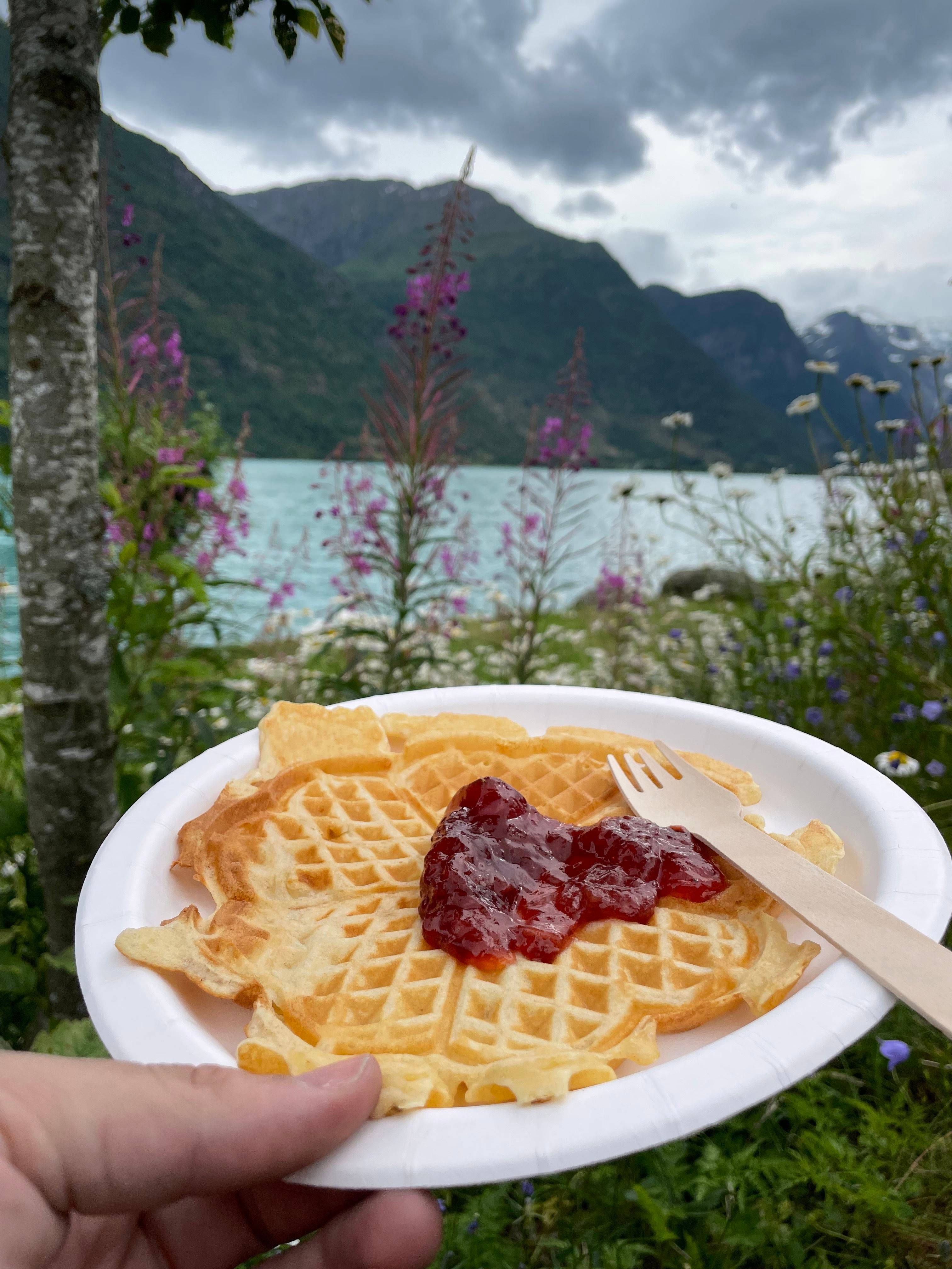 Hand holding a paper plate with a waffle and red jam, set against wildflowers, a lake, and mountains under clouds.