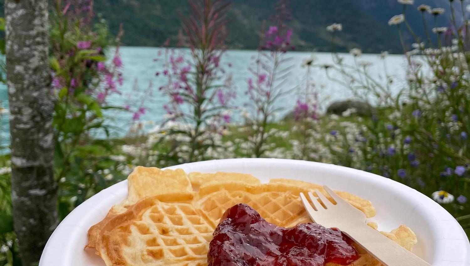 Hand holding a paper plate with a waffle and red jam, set against wildflowers, a lake, and mountains under clouds.