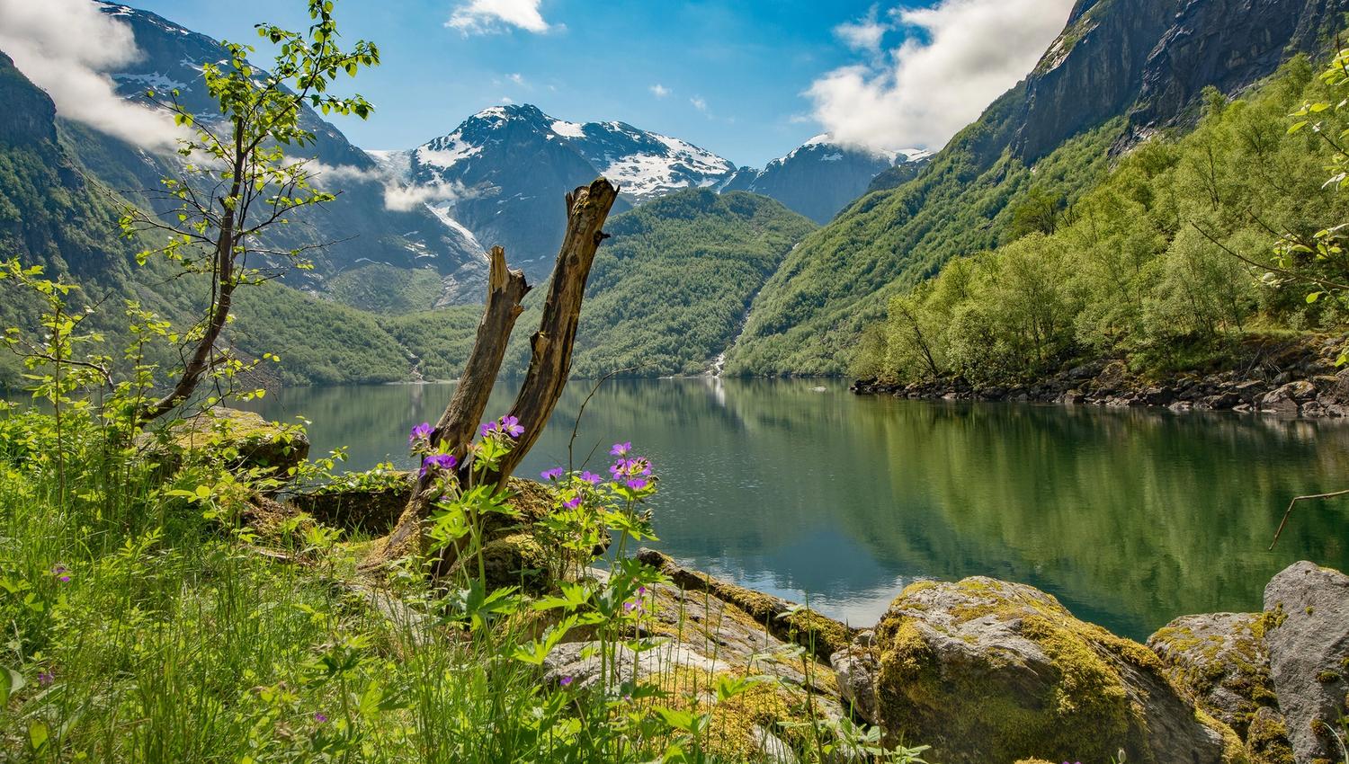 Sommardag ved Bondhusvatnet