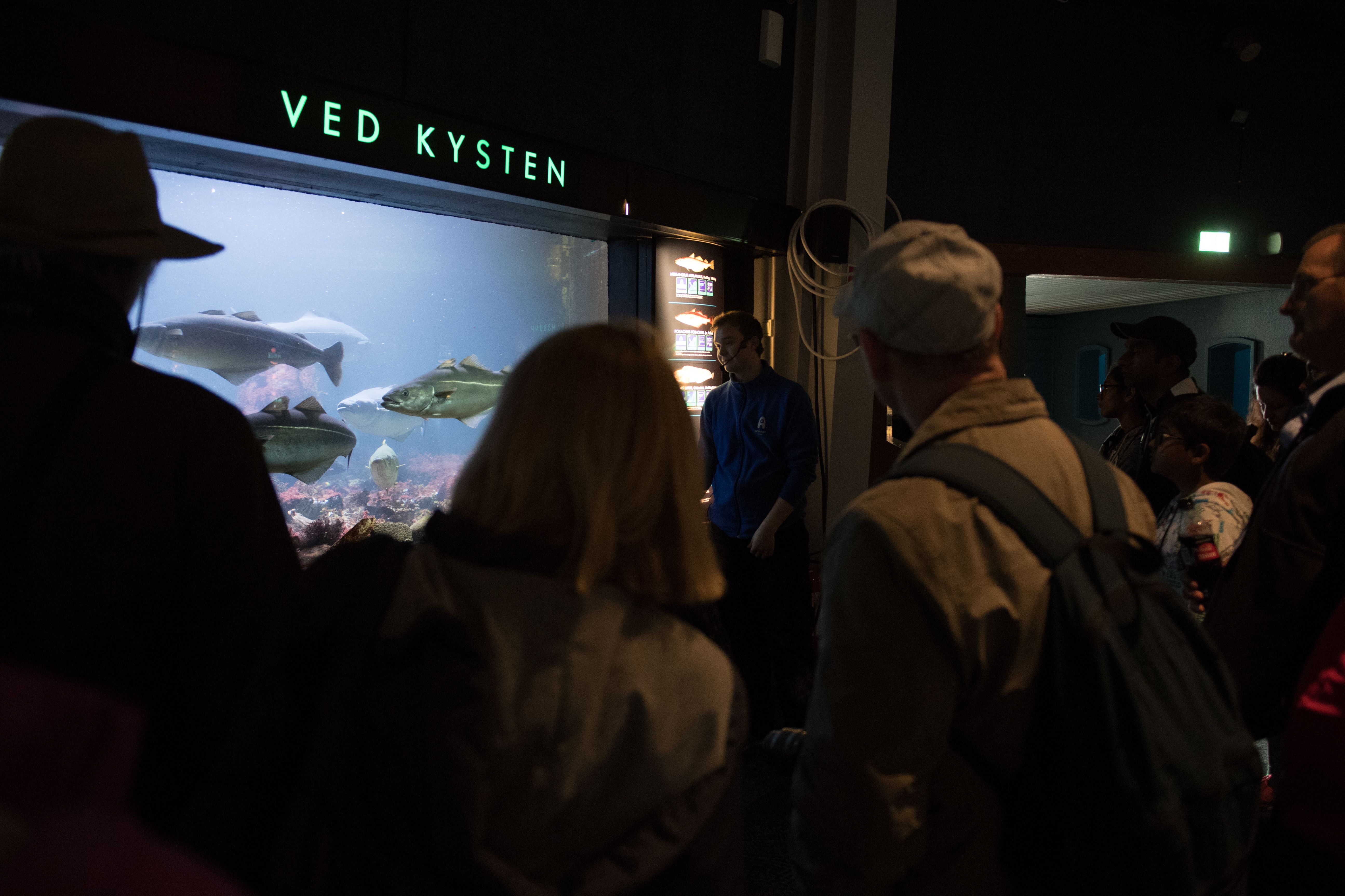 Bergen Aquarium