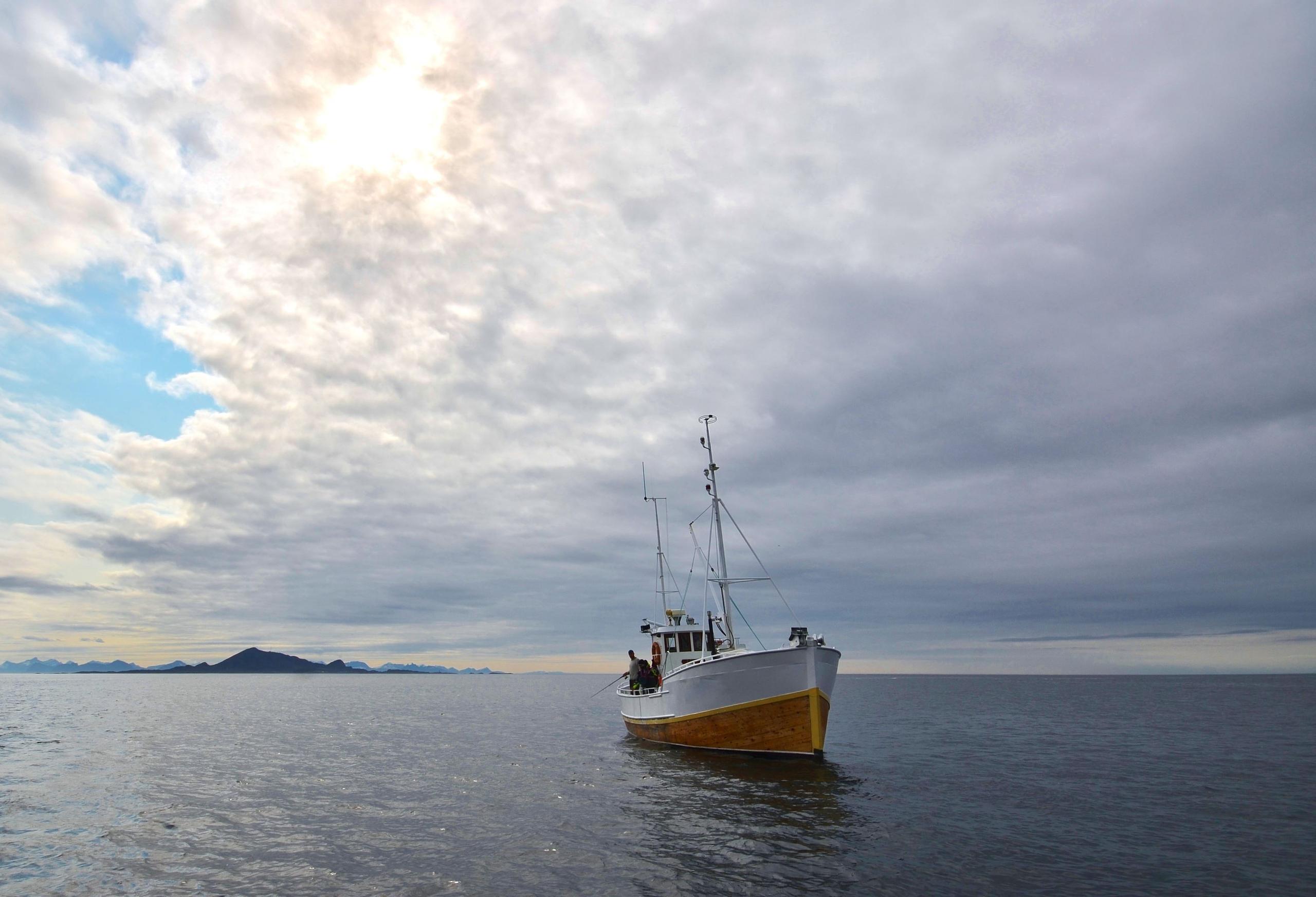 Fishing trip with RIB-Lofoten (copy)