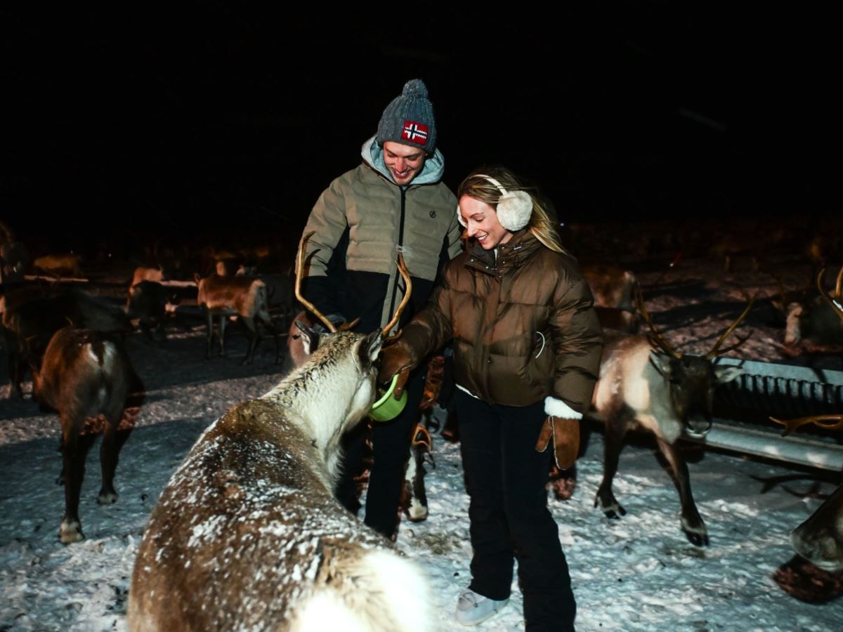 Guests feeding reindeer