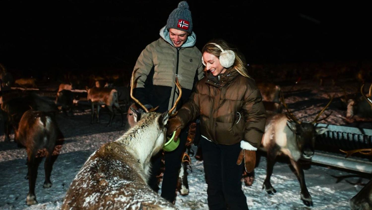 Guests feeding reindeer