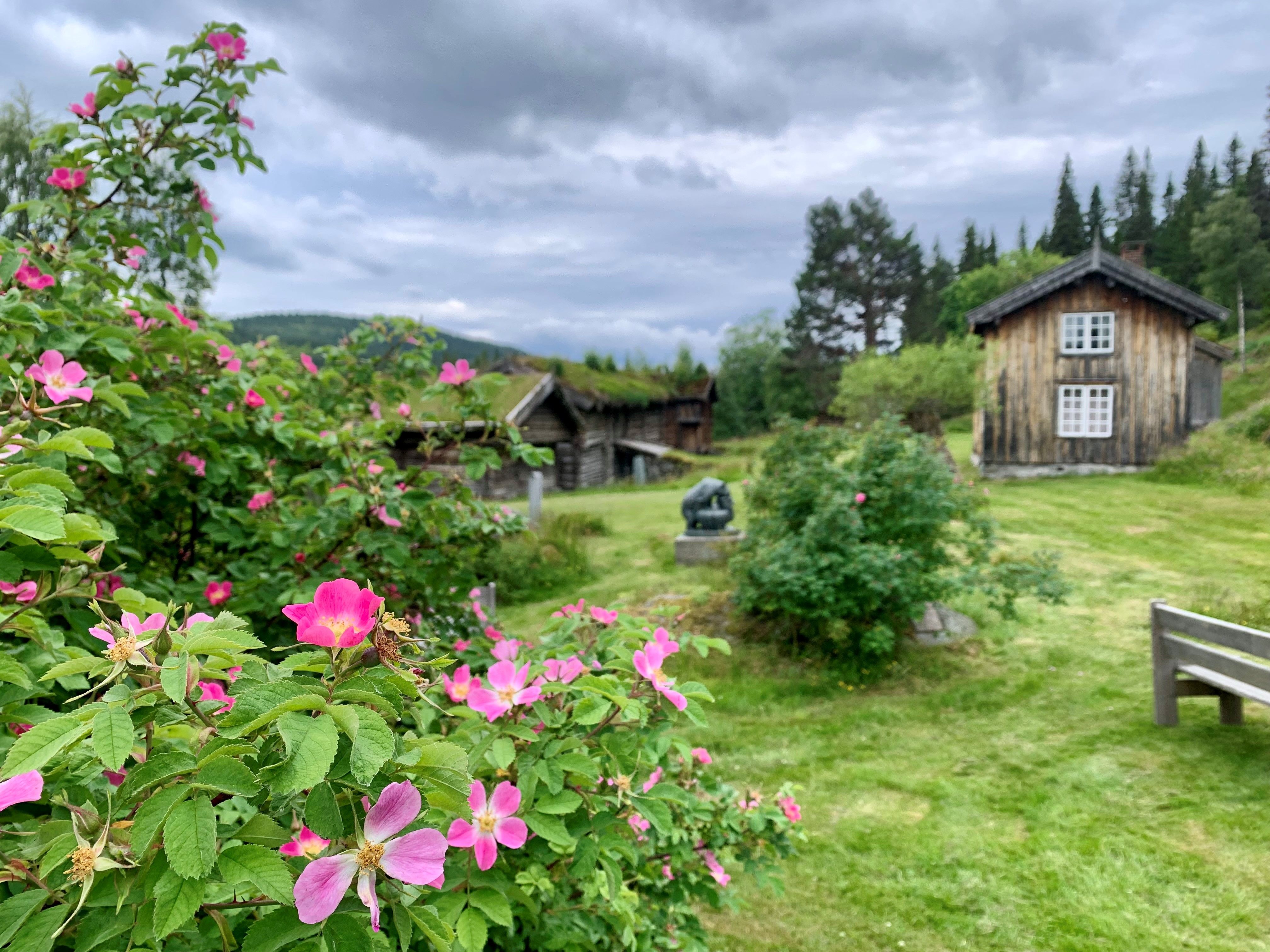 Grimdalstunet ein dag i juni, Vest-Telemark museum.