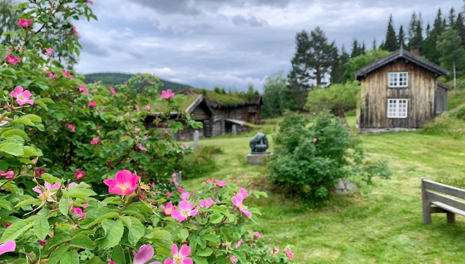 Grimdalstunet ein dag i juni, Vest-Telemark museum.