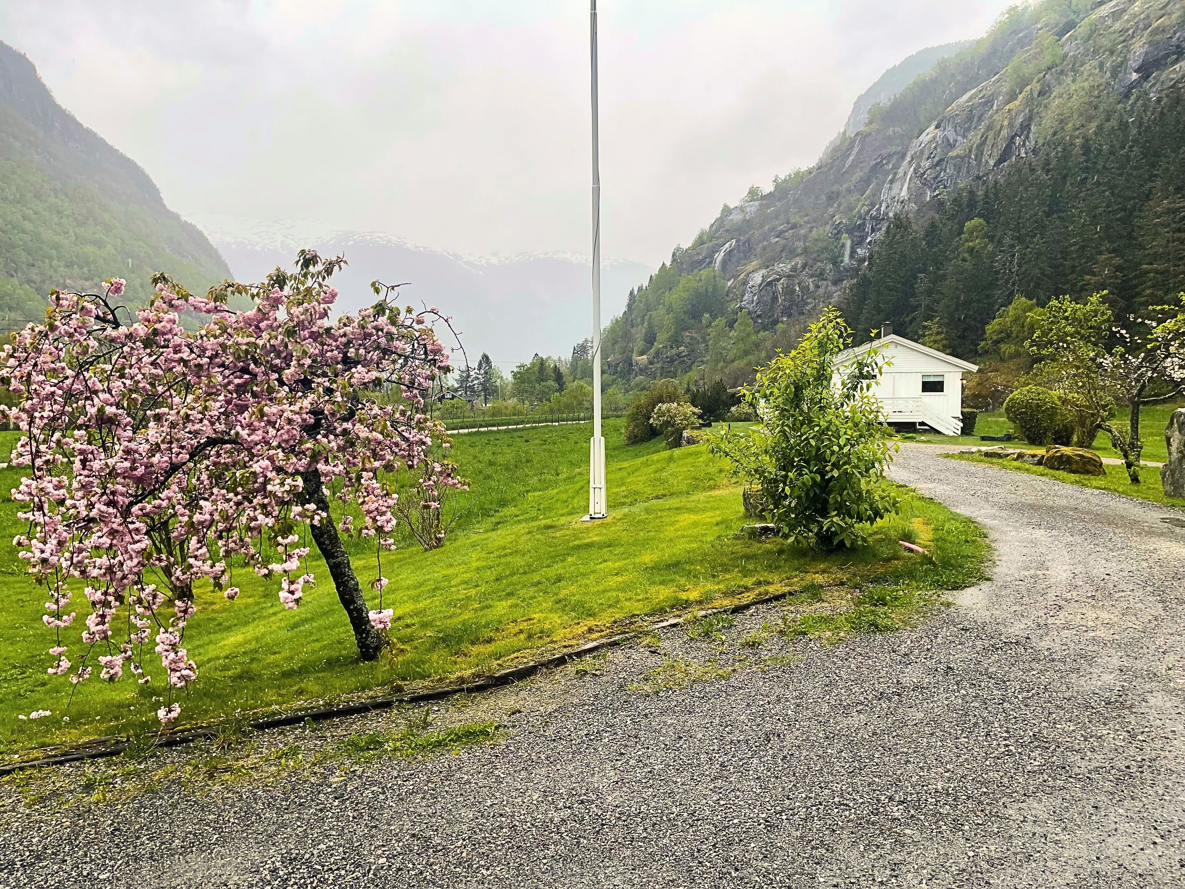 Skahjem Gard, Aurland