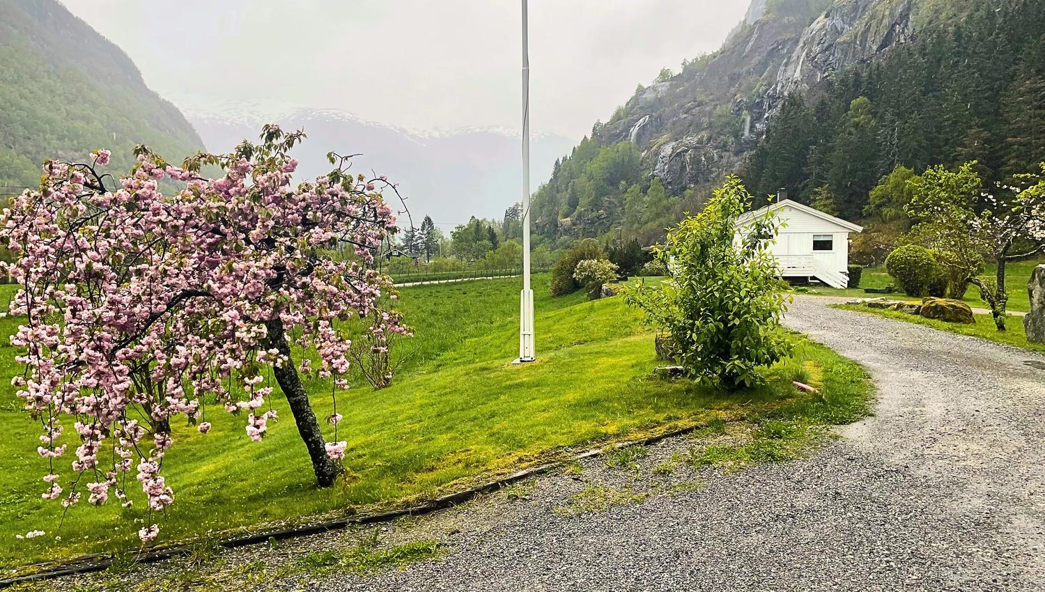 Skahjem Gard, Aurland