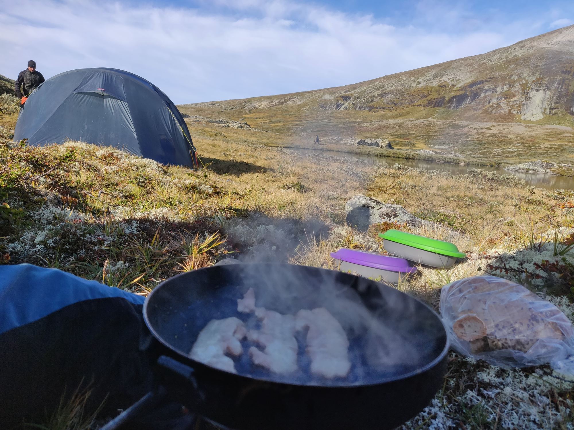 Musk Ox Safari Personal Tour, 2 days